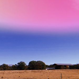 Meet your Posher, Shelby